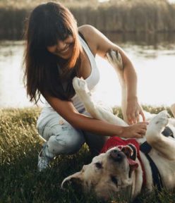 How can you get your dog to cooperate for the photoshoot?